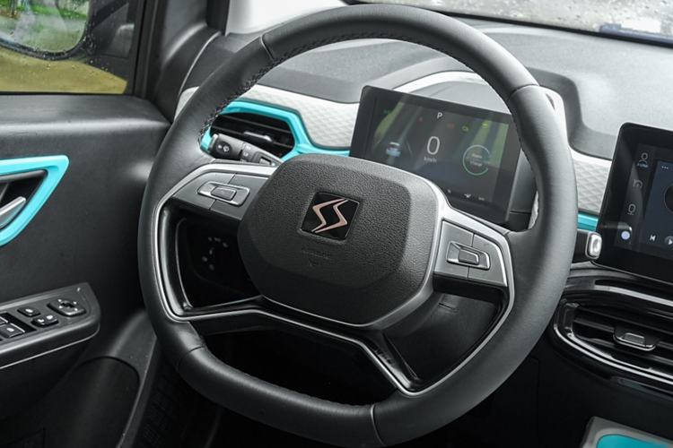 Used SOL E10X 2022 Flower Fairy Style Baby's Breath