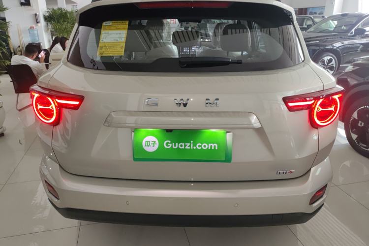Used Haval H Dog New Energy 2026 Model Hi4 150km Trendy Electric Edition Rear