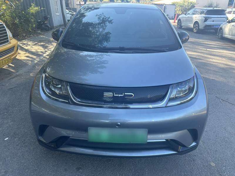 Used BYD Dolphin 2023 420 km Fashion Edition — 30