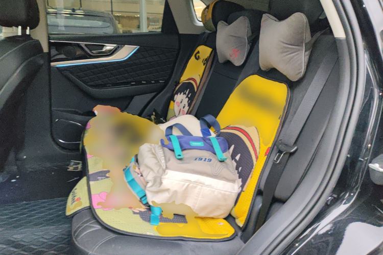 Used Hongqi HS5 2019 2.0T Smart Connect Flagship All-Wheel-Drive Version