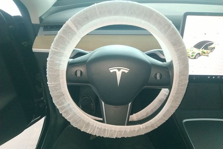 Used Tesla Model Y 2021 Standard Range Rear-Wheel Drive Version
