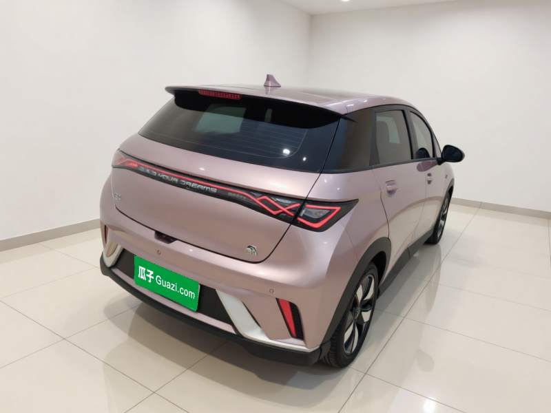Used BYD Dolphin 2021 401km Knight Edition — 6