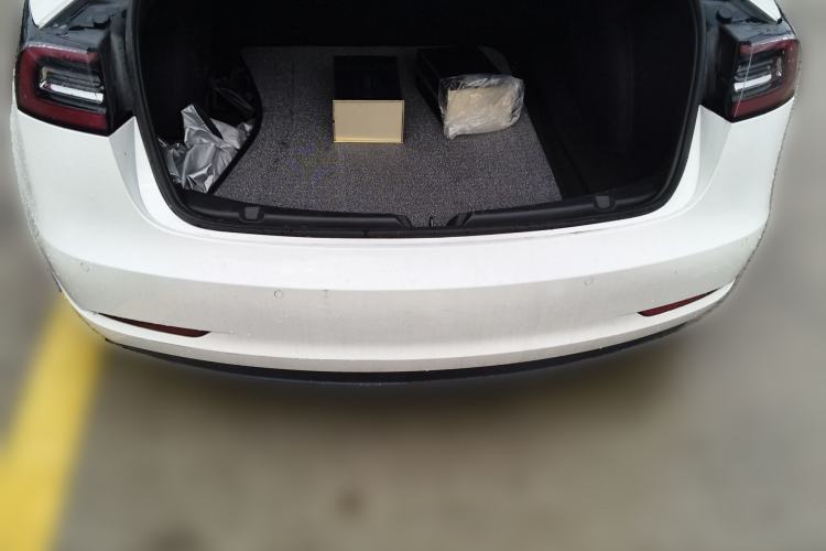 Used Tesla Model 3 2020 Standard Range Rear-Wheel Drive Upgraded Version Trunk
