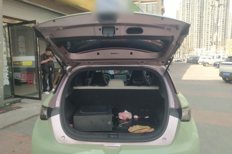 Used BYD Dolphin 2021 405 km Free Version
