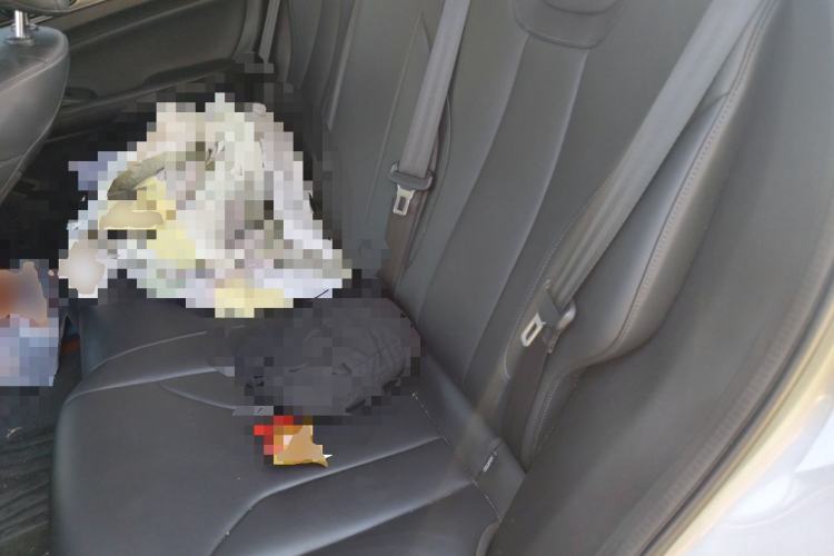 Used Haval Fierce Dragon 2023 1.5L 110KM Lingdong Edition Left Rear Seat