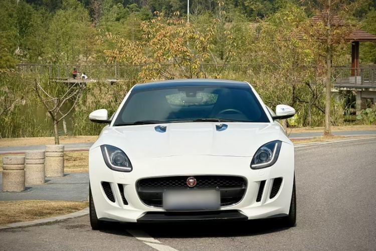 Used Jaguar F-TYPE 2016 3.0 SC Hardtop Version