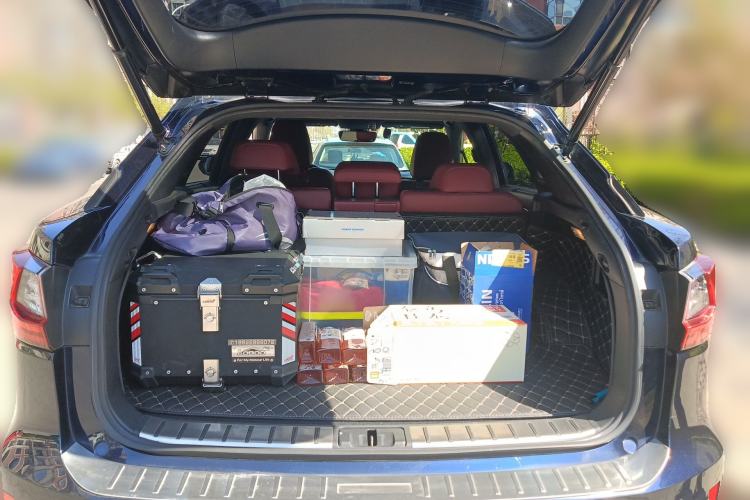 Used Lexus RX 2016 300 4x4 F SPORT Version China V Standard
