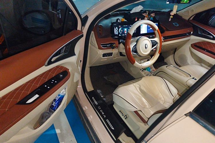 Used ORA Good Cat 2023 401 km Standard Range Luxury Version Lithium Iron Phosphate