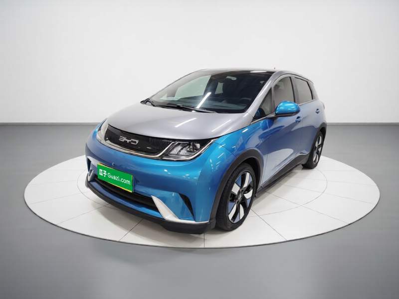 Used BYD Dolphin 2021 401km Knight Edition — 1
