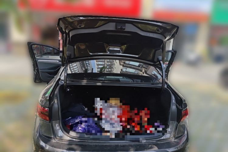 Used Volkswagen Sagitar 2023 280TSI DSG Excellence Edition