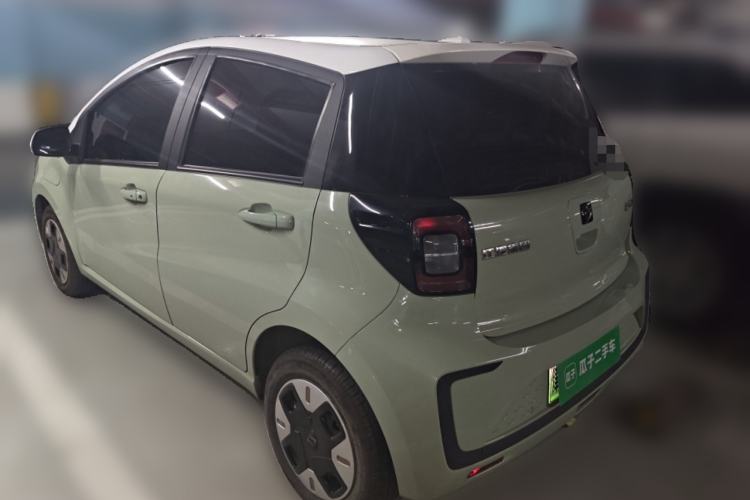 Used SOL E10X 2022 Flower Fairy Design Four-Leaf Clover