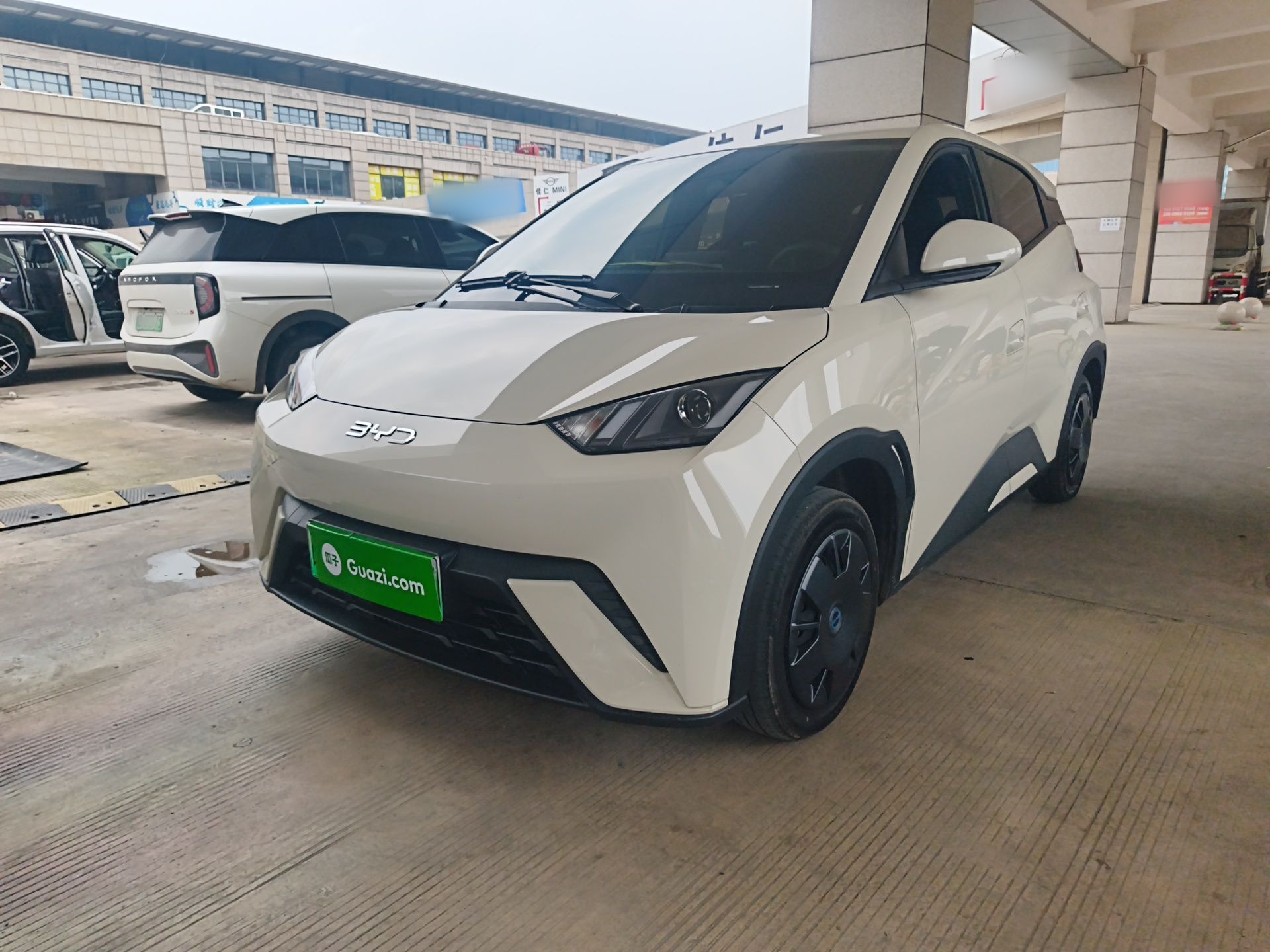 Parte inferior delantera