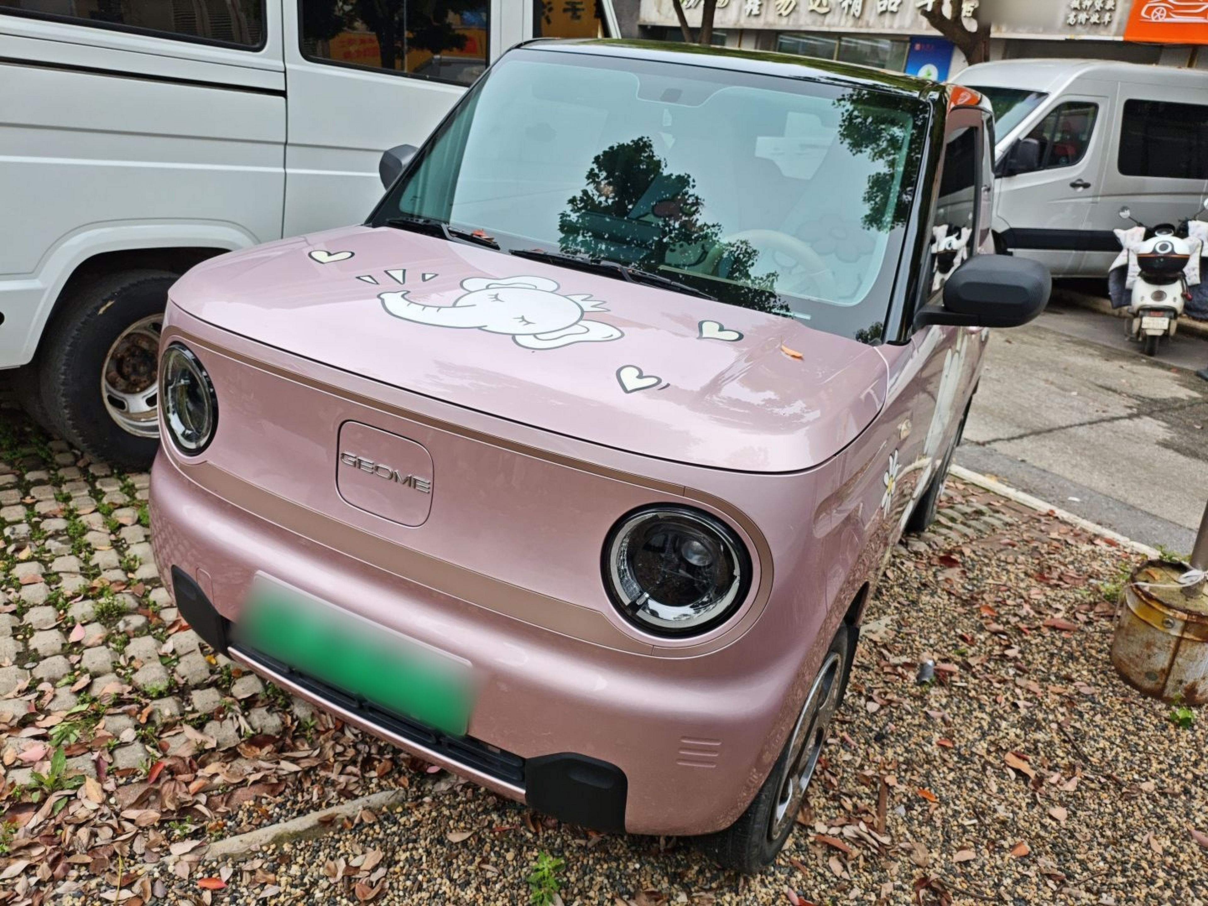 تحت مقدمة السيارة