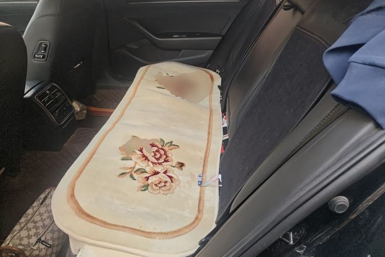 Used Volkswagen Magotan 2019 330TSI DSG Luxury Version China VI Standard Left Rear Seat