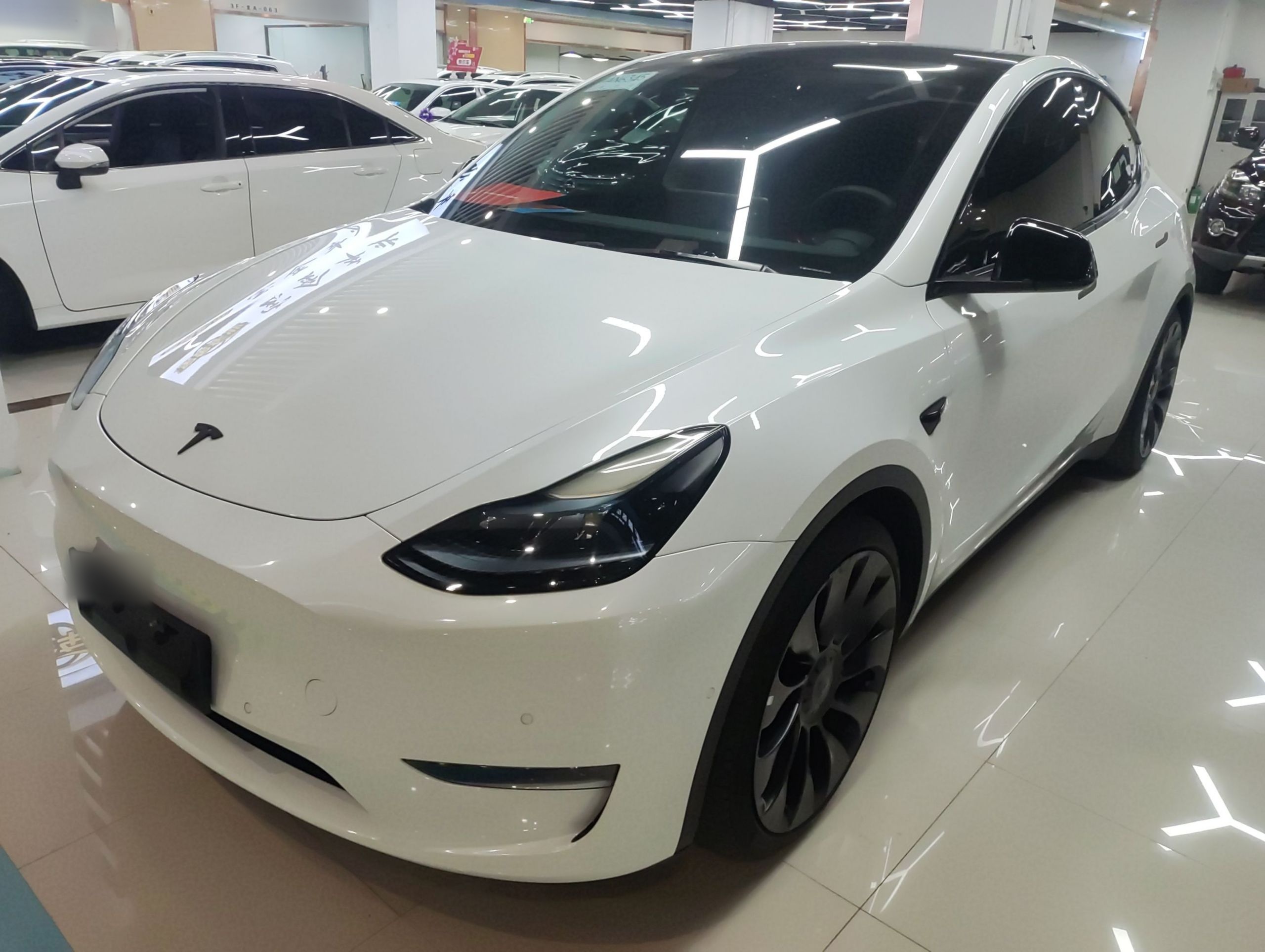 تحت مقدمة السيارة