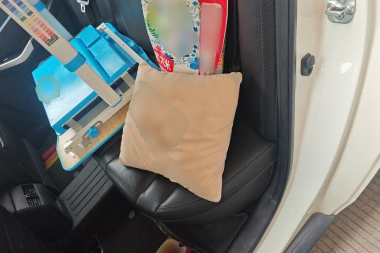 Used Venucia D60EV 2020 Standard Range T3 Left Rear Seat