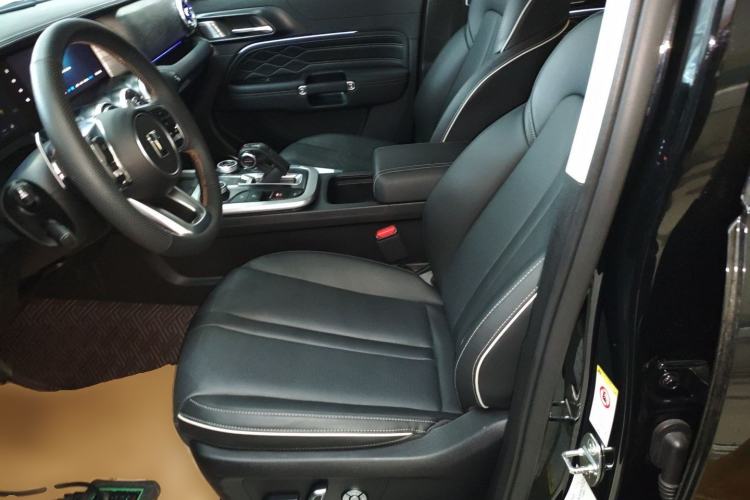 Used Tank 300 2024 2.0T Conqueror
