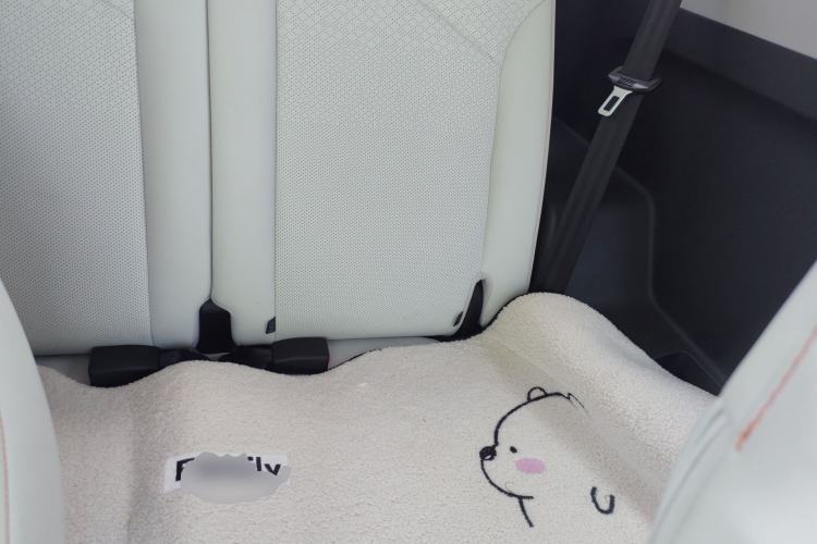 Used Chery Little Ant 2024 321km Love Edition Left Rear Seat