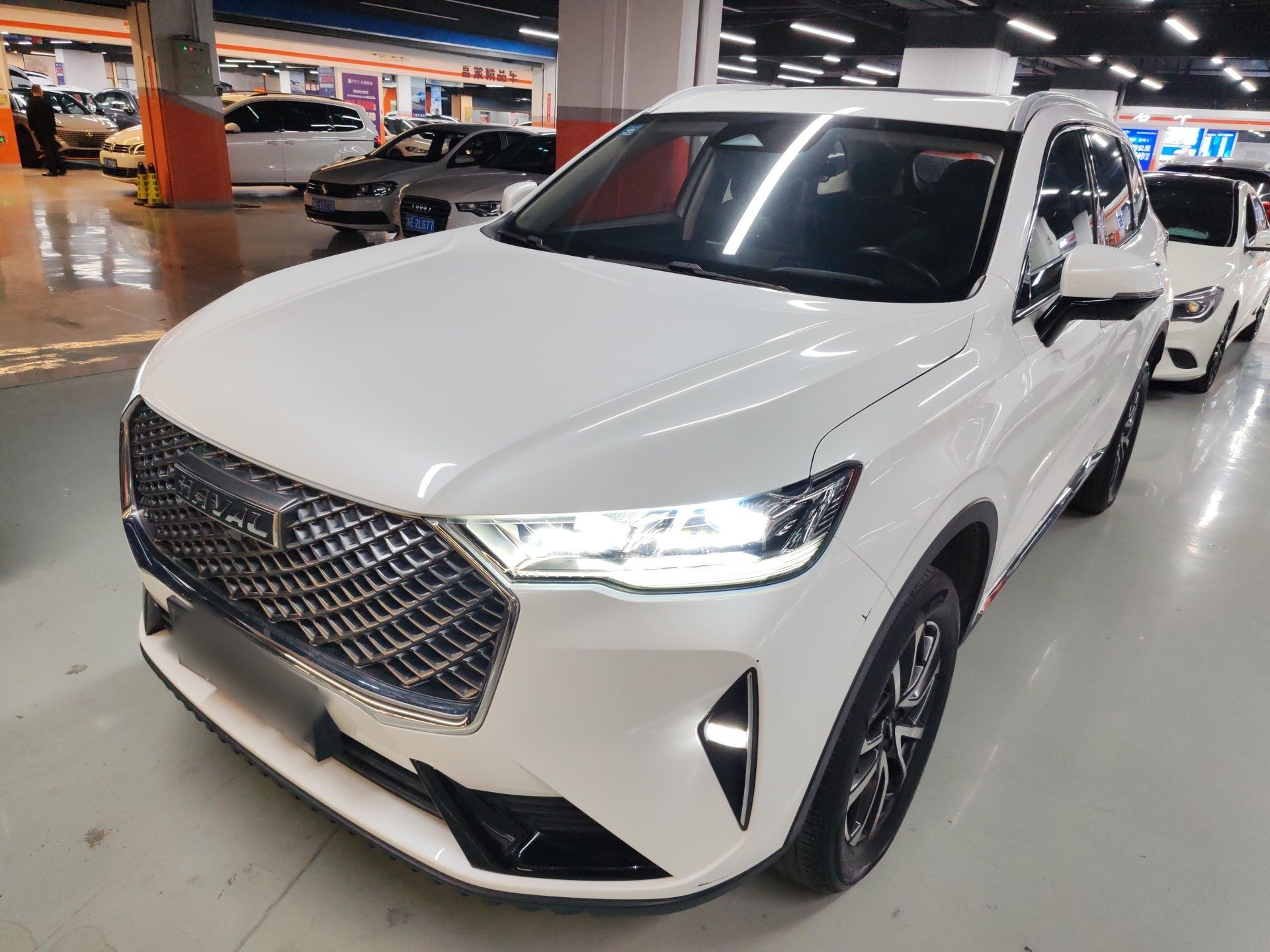 Parte inferior delantera