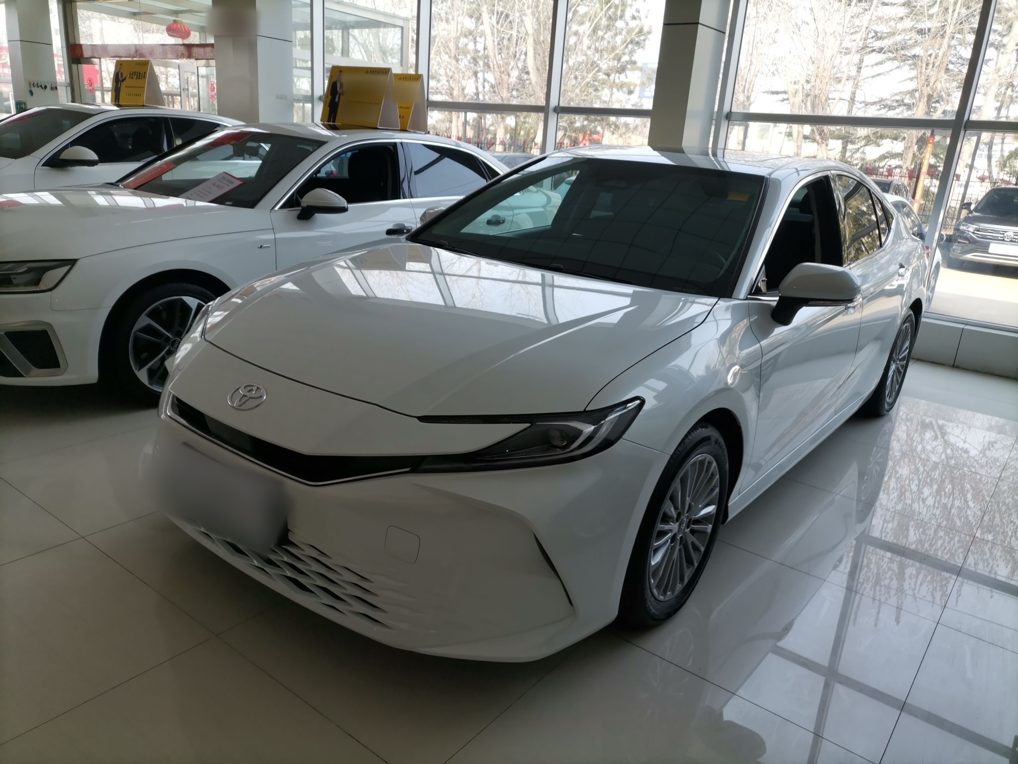 Parte inferior delantera