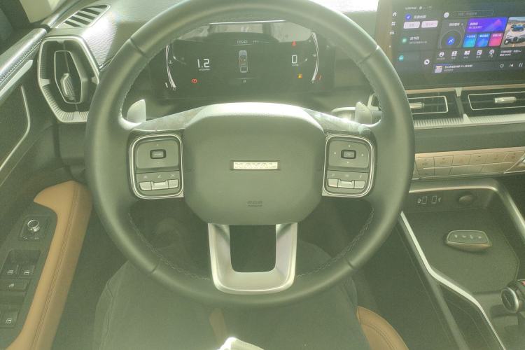 Used Haval H5 2023 2.0T Automatic Two-Wheel Drive LinkedIn Gasoline
