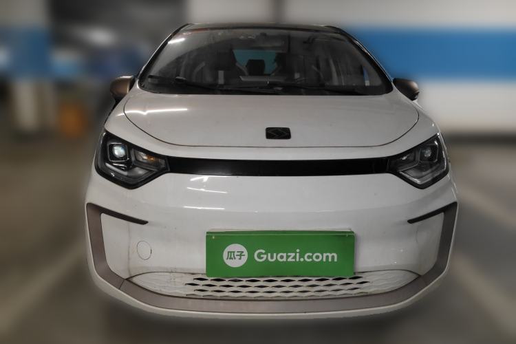 Used SOL E10X 2022 Flower Fairy Style Baby's Breath
