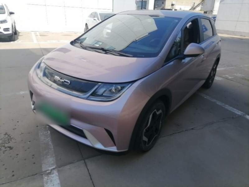 Used BYD Dolphin 2021 405 km Fashion Edition — 1
