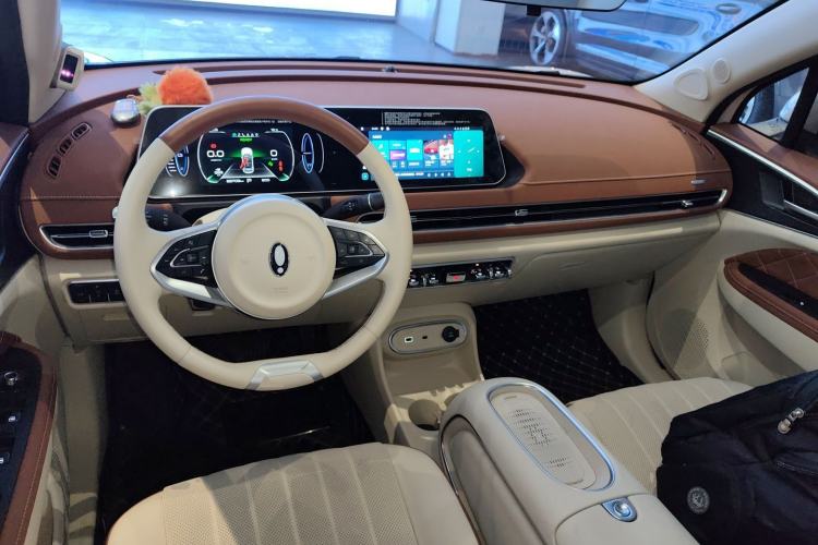 Used ORA Good Cat 2023 401 km Standard Range Premium Version Lithium Iron Phosphate
