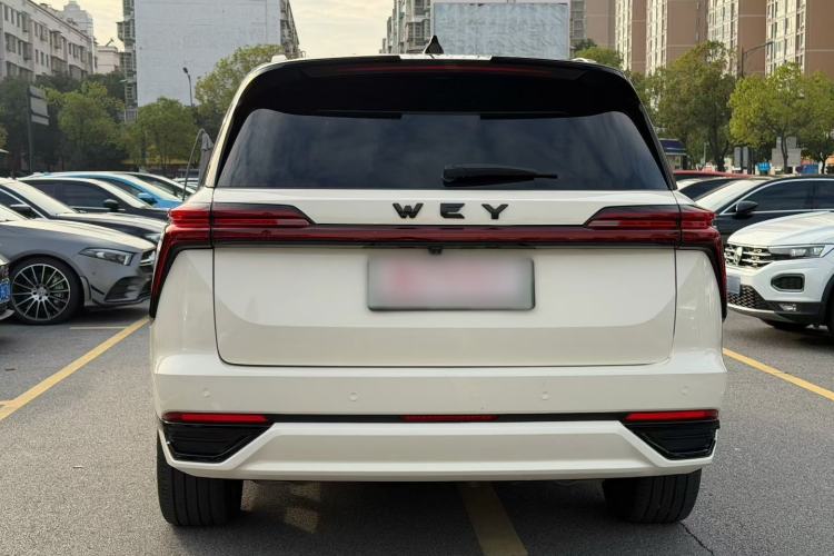 Used Wey Lanshan 2023 Four-Wheel Drive Ultra-Long Range Version