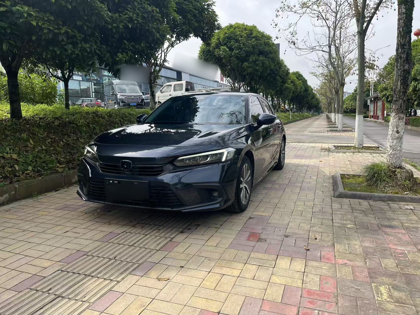 Parte inferior delantera