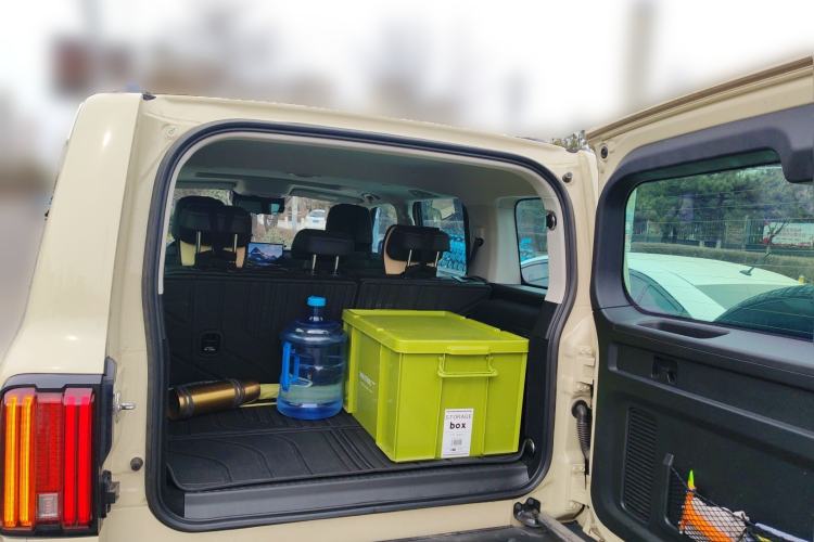 Used Tank 300 New Energy 2025 Hi4-T
