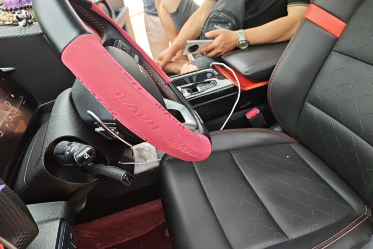 Used Haval DARGO 2021 2.0T DCT 4x4 Chinese Rural Dog Edition Left Front Seat