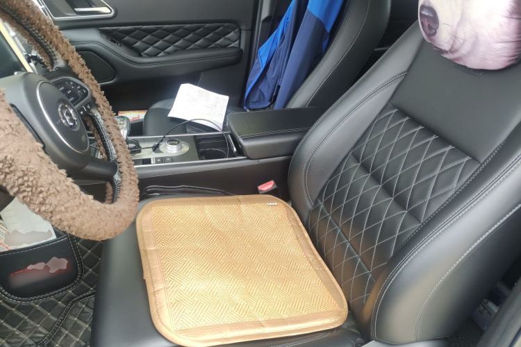 Used Great Wall Poer 2019 2.0T Automatic Gasoline Two-Wheel Drive Comfort Edition GW4C20B
