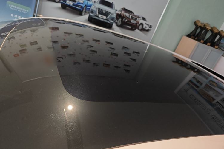 Used Venucia V DD-i 2025 Orca 150km Joyful Journey Edition