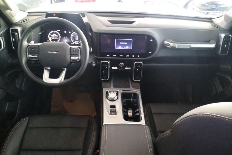 Used Haval DARGO 2024 2.0T DCT Chinese Rural Dog Edition