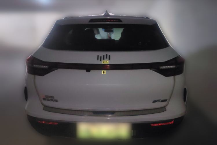 Used WM Motor EX5 2019 EX5 Mate Weymeng Edition 400