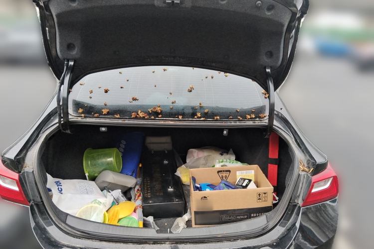 Used Chevrolet Malibu XL 2019 535T CVT Rui Xing Edition Trunk