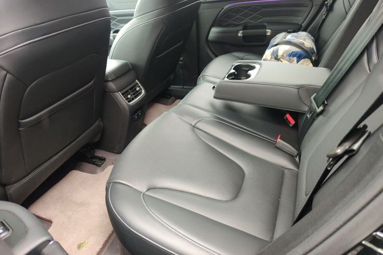 Used Tank 300 New Energy 2025 Hi4-T Left Rear Seat