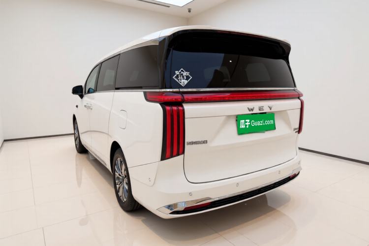 Used Wey Gaoshan 2025 Four-Wheel Drive Alpine 8 Exterior 3