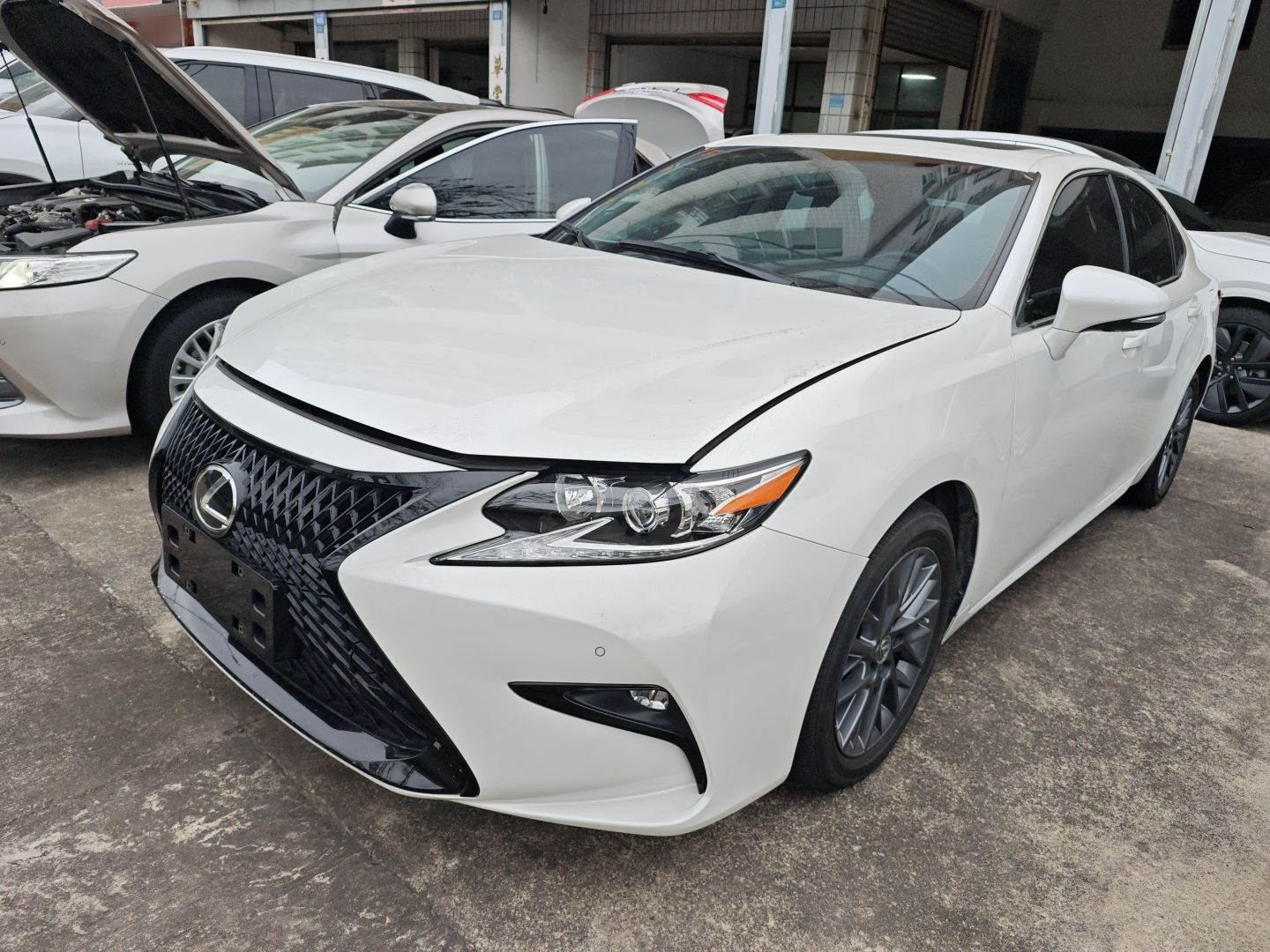 تحت مقدمة السيارة