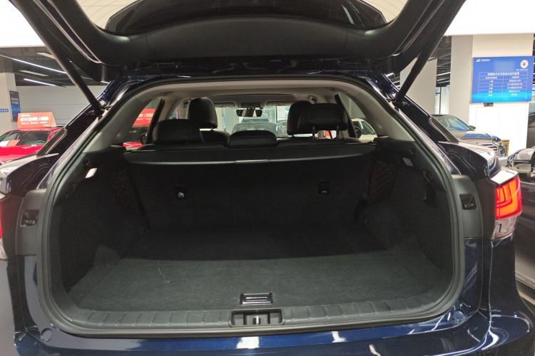 Used Lexus RX 2020 300 Two-Wheel Drive Elite Edition China VI Standard Trunk