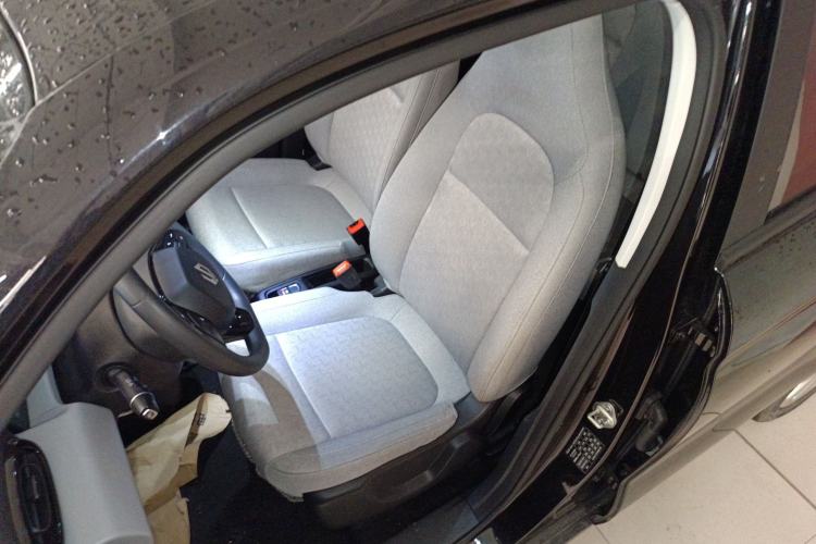 Used Leapmotor T03 2022 Crystal Edition Left Front Seat