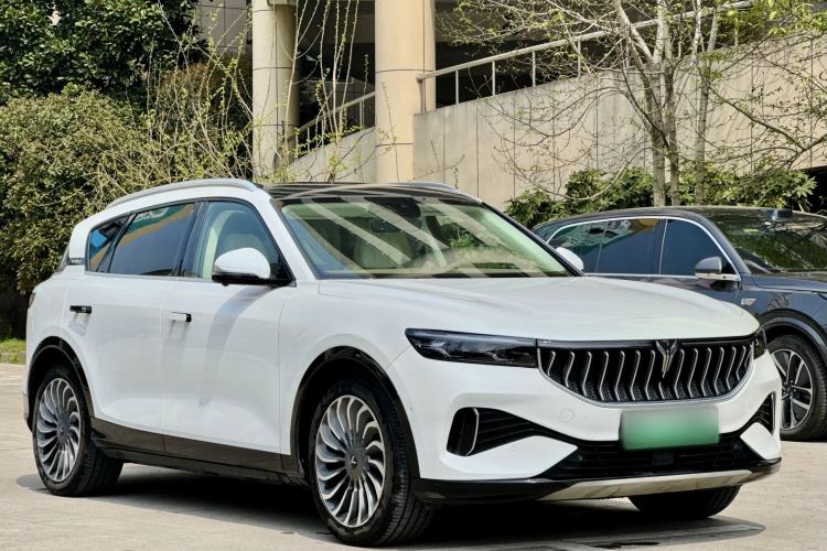 Used VOYAH FREE 2021 Four-Wheel Drive Standard All-Electric Exclusive Luxury Package