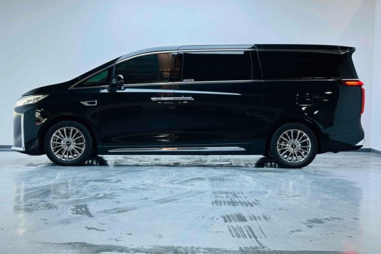 Used Wey Gaoshan 2023 Four-Wheel-Drive Executive Extended Version Exterior 3