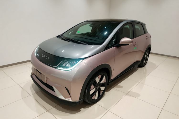 Used BYD Dolphin 2021 401km Knight Edition
