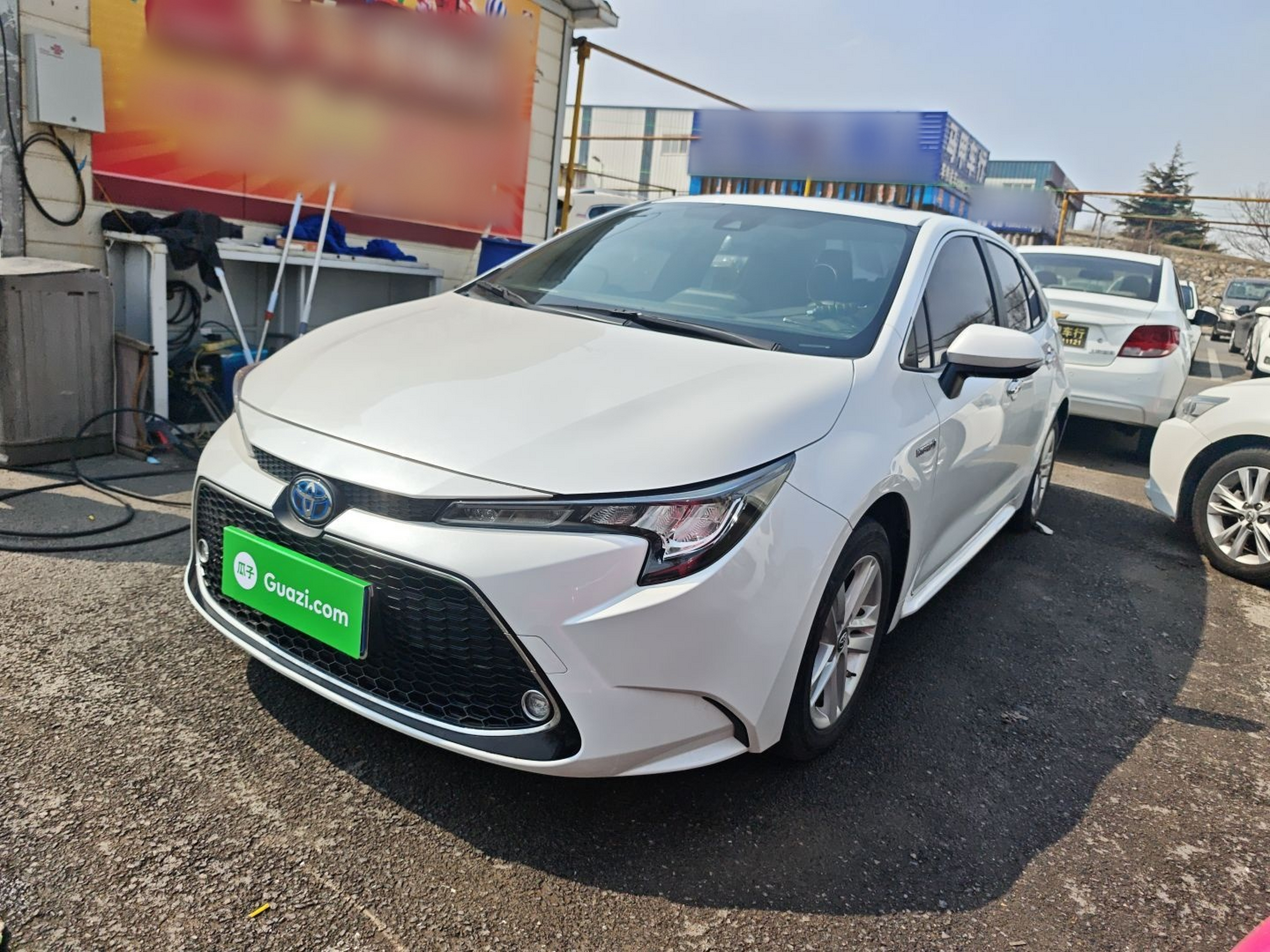 Parte inferior delantera