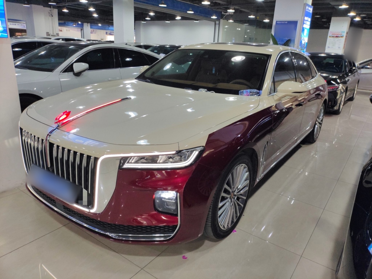 Parte inferior delantera