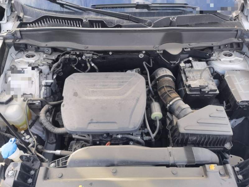 Used Haval H6 2024 1.5T Two-Wheel-Drive Classic Edition — 10