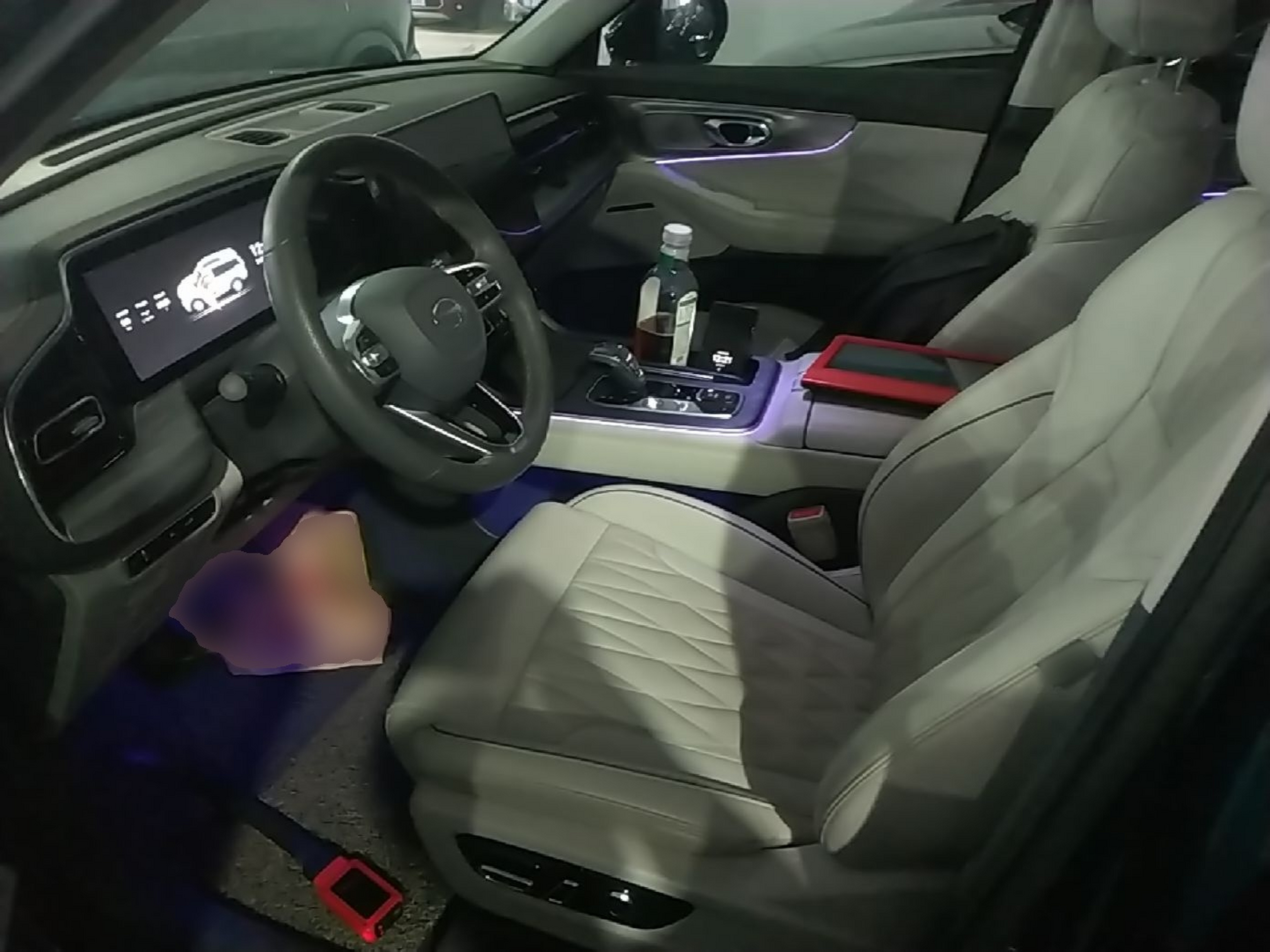 Interior delantero