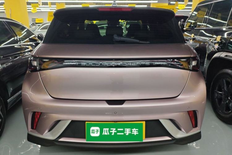 Used BYD Dolphin 2023 401km Knight Edition